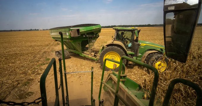 A farmer harvests corn in Dockery, Mississippi.Photographer: Alan Chin/Bloomberg