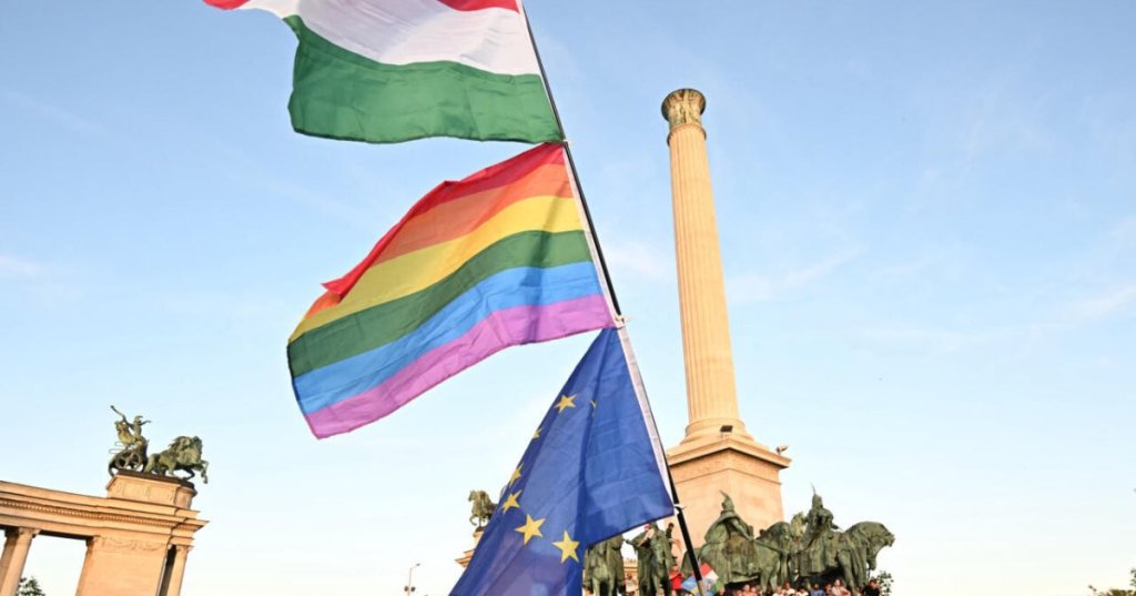 The protesters accuse Orban of using 'information campaigns' to advance his political goals © Attila KISBENEDEK / AFP