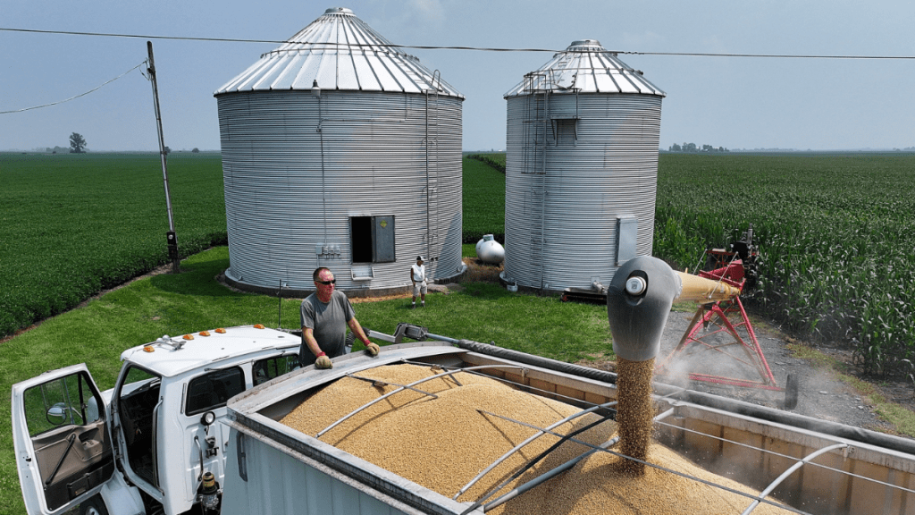 Trump unveils $12bn support package for US farmers as tariffs place sector under&nbsp;strain